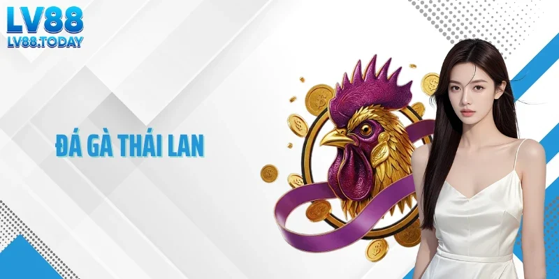 Đá Gà Thái Lan - Mãn Nhãn Với Trận Thi Đấu Chuyên Nghiệp