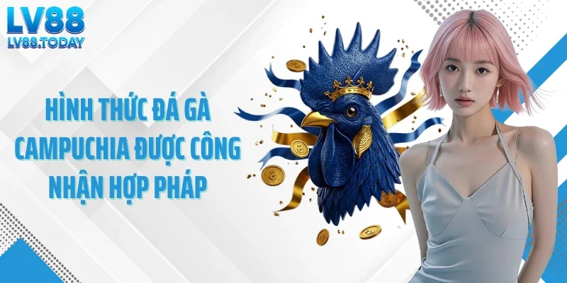 Hình thức đá gà Campuchia được công nhận hợp pháp