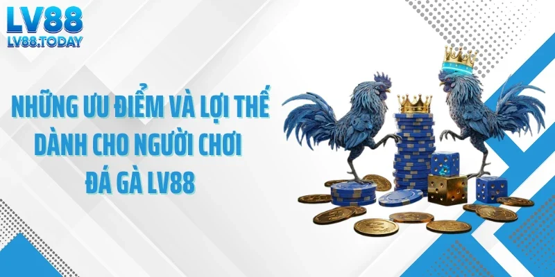 Những ưu điểm và lợi thế dành cho người chơi đá gà LV88