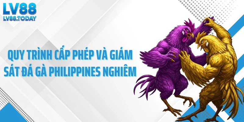 Quy trình cấp phép và giám sát đá gà Philippines nghiêm