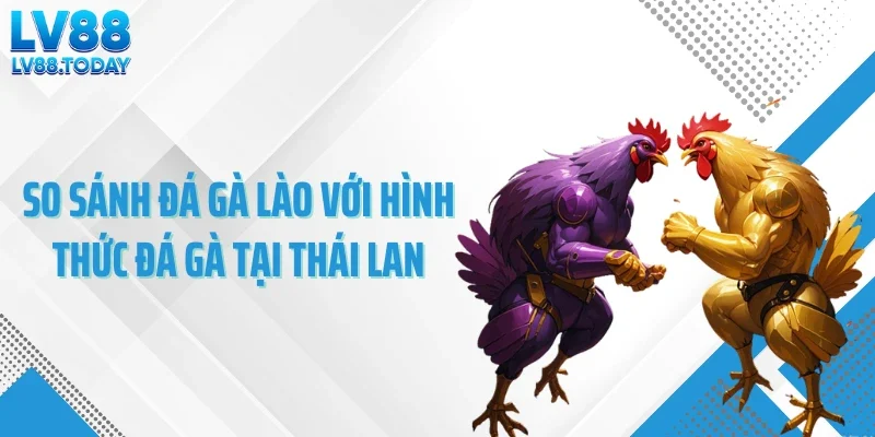 So sánh đá gà Lào với hình thức đá gà tại Thái Lan